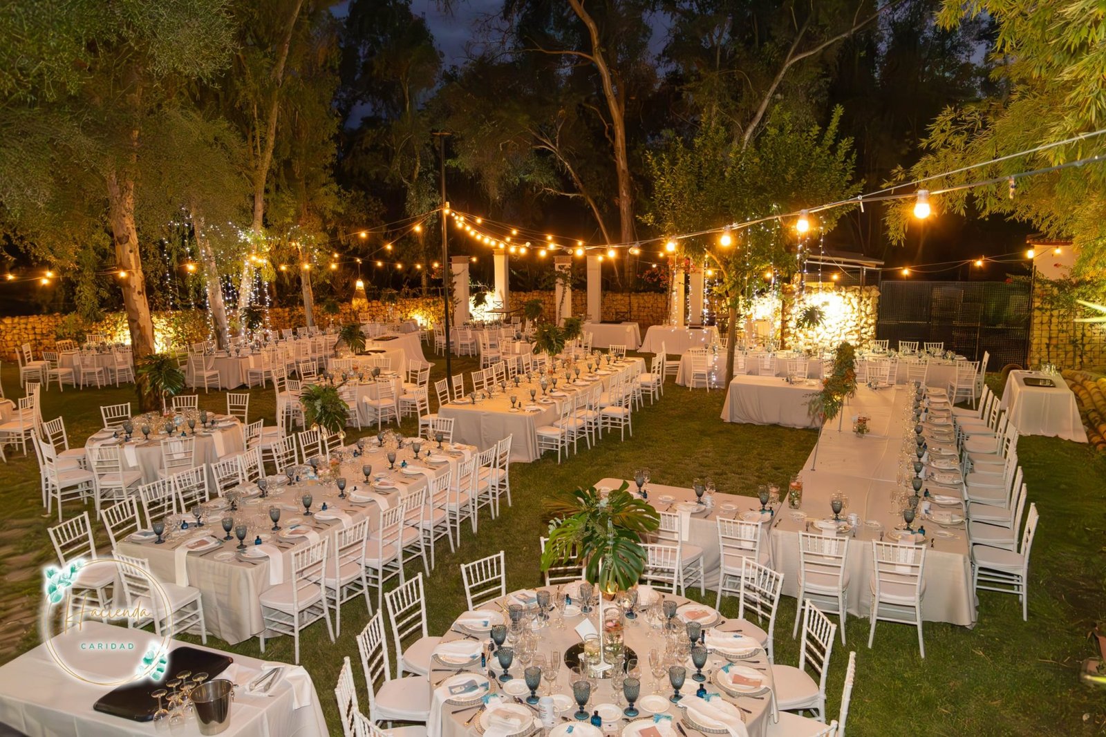 MG_3473-Mejorado-NR-scaled