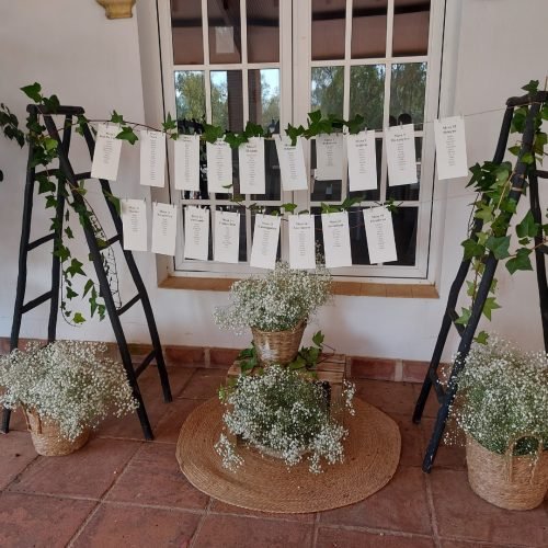 485063294_1164428818855836_4846332957313281107_n