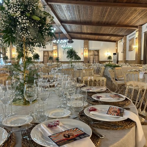 485698206_1166318198666898_2153014127119491941_n