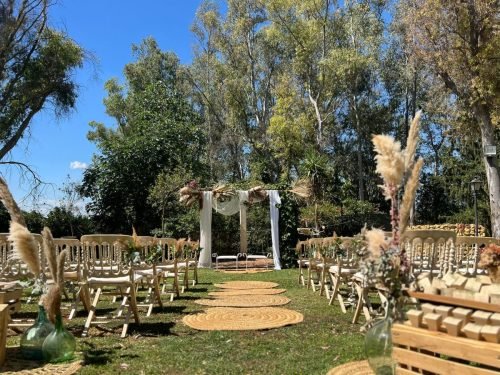 487974044_1178082664157118_8732738690273254132_n