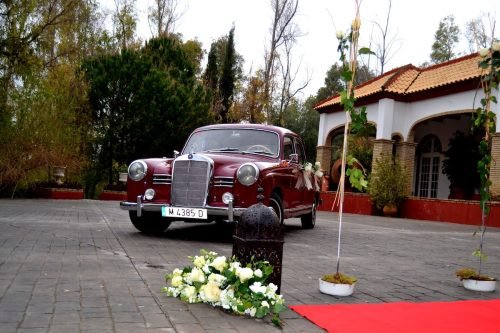 569295408_25195270490090019_6667166817601945313_n